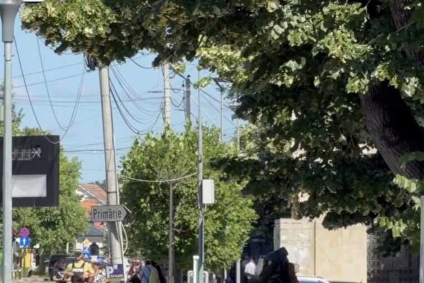 O valiza abandonata in fata Galeriei de Arta a alertat autoritatile din Pitesti si a pertrubat traficul