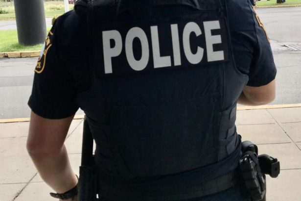 Ofiter de politie investigat dupa ce a fost acuzat ca a folosit inteligenta artificiala pentru a crea dovezi in mai multe cazuri