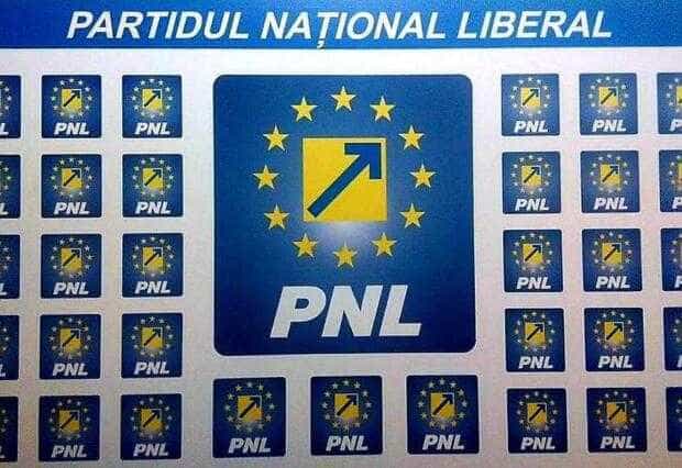 PNL Calinesti Calinesti nu este proprietatea familiei Georgescu