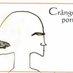Semnal editorial Cranguri de portocali de Adrian Mielcioiu