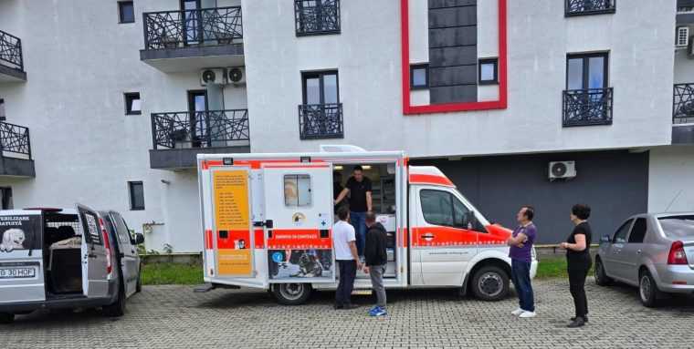 Sterilizare gratuita la Curtea de Arges O noua campanie pentru animalele de companie