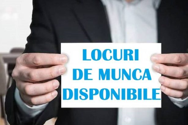 Targul locurilor de munca la Arges Mall