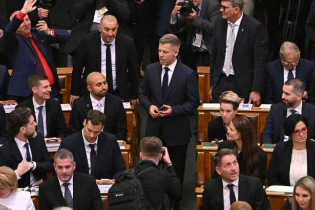 Toti deputatii din Ungaria si au reduse veniturile cu 40 Niciun vot impotriva in Parlament