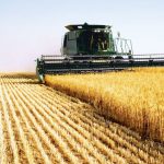 UE ofera 14 8 milioane de euro ca sprijin de urgenta pentru agricultorii din Romania