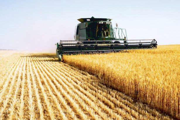 UE ofera 14 8 milioane de euro ca sprijin de urgenta pentru agricultorii din Romania