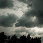 Vremea a provocat distrugeri un barbat a murit dupa ce un copac a cazut peste o masina aflata in miscare