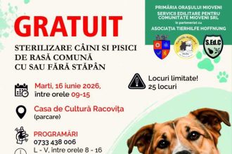 campanie de sterilizare gratuita in mioveni