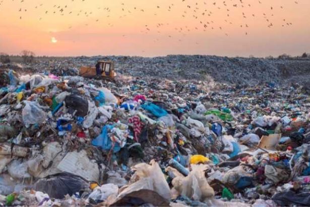 controale la toate gropile de gunoi din romania amendi de peste un milion de lei si nereguli grave identificate