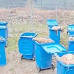 n loc s fie abandonate i s attrag animalele slbatice peste o sut de tone de deeuri animale au fost incinerate