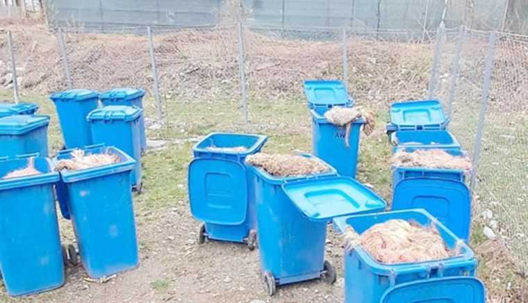 n loc s fie abandonate i s attrag animalele slbatice peste o sut de tone de deeuri animale au fost incinerate