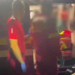 videoclip panic in padure a zarit un urs iar jandarmii au intervenit sa o salveze