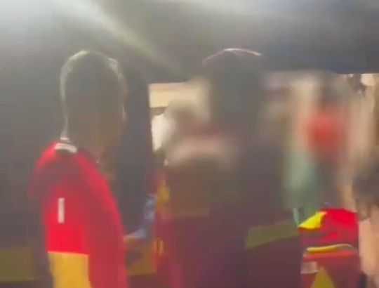 videoclip panic in padure a zarit un urs iar jandarmii au intervenit sa o salveze