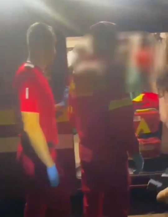 videoclip panic in padure a zarit un urs iar jandarmii au intervenit sa o salveze