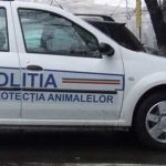 Amenzi pentru comercializarea ilegala a animalelor in Domnesti