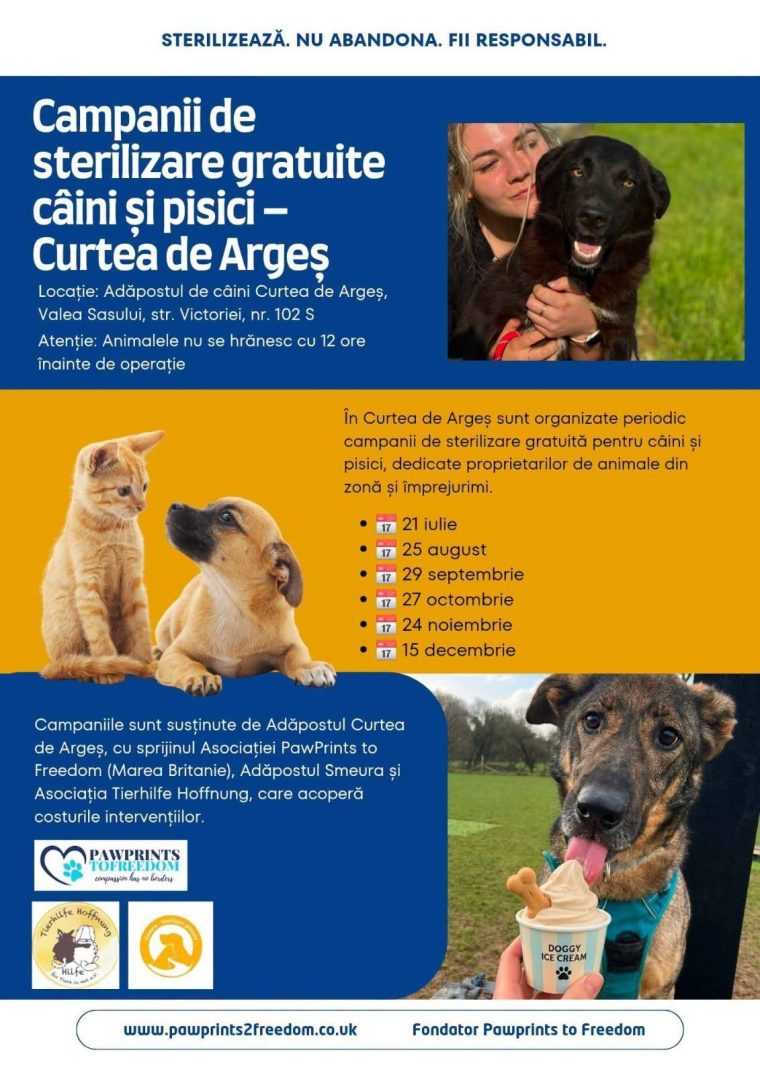 Caini si pisicile pot fi sterilizati gratuit la Adapostul din Curtea de Arges