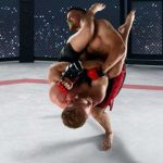 Frauda semnificativa descoperita de ANAF Venituri ascunse prin transmiterea online a meciurilor de MMA