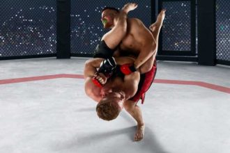 Frauda semnificativa descoperita de ANAF Venituri ascunse prin transmiterea online a meciurilor de MMA