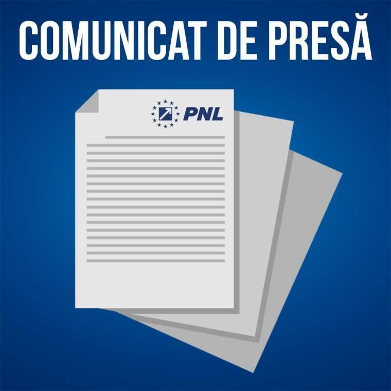 Reactia PNL dupa decizia Tribunalului Bucuresti este o hotarare fara precedent