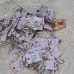 Verificari dupa ce un ONG din Republica Moldova a afirmat ca a descoperit mii de permise de conducere romanesti intr o groapa de gunoi