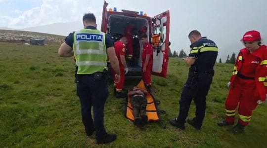Video Arges Cioban grav ranit pe munte A fost chemata ambulanta