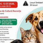 campanie gratuita de sterilizare a animalelor de companie in mioveni