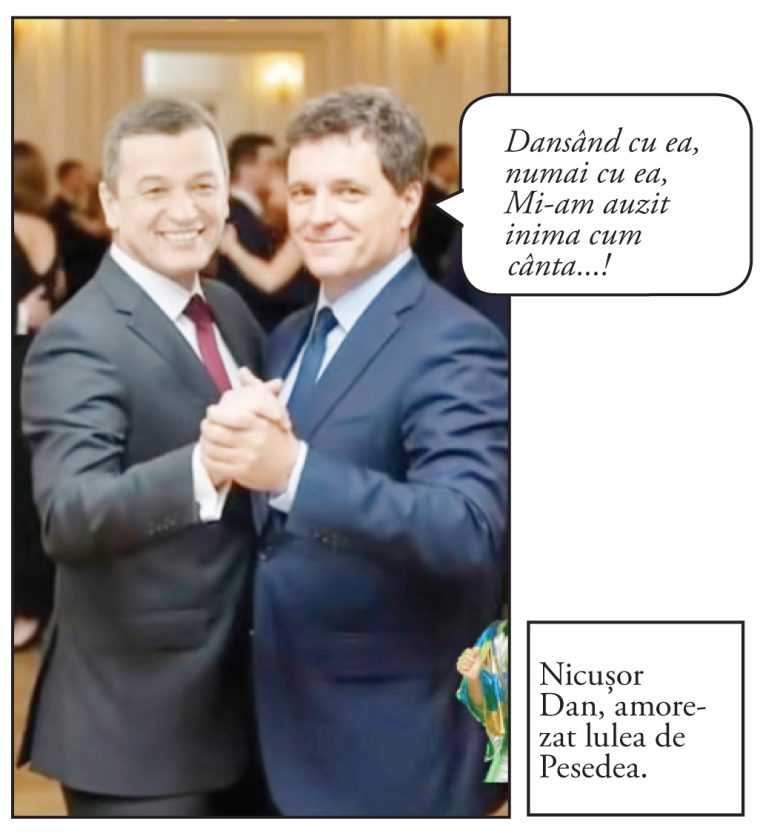 fotopanflete