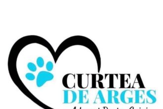 saptamana viitoare campanie gratuita de sterilizare a cainilor si pisicilor la curtea de arges