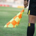 Acuzaii serioase n arbitrajul romnesc Sesizare la FRF pe tema delegrilor suspecte i a posibilelor conflicte de interese