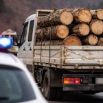 Arges 13 august o zi cu ghinion pentru un transportator de lemne Cum l a descoperit Politicia