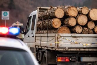 Arges 13 august o zi cu ghinion pentru un transportator de lemne Cum l a descoperit Politicia
