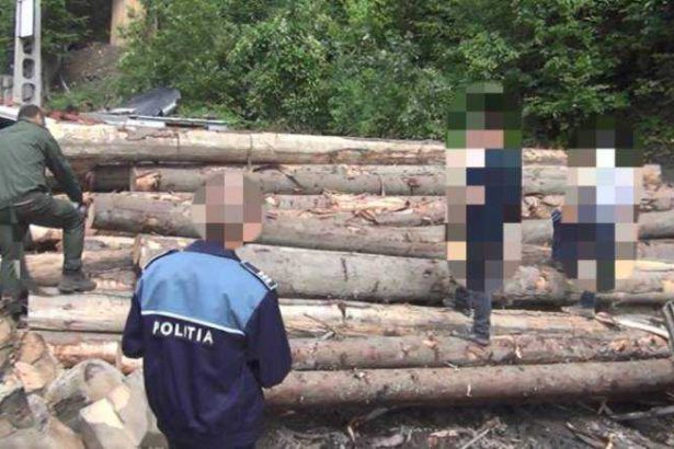 Arges Prinsi cu o cantitate mare de lemne fara documente in depozit Amenda drastica