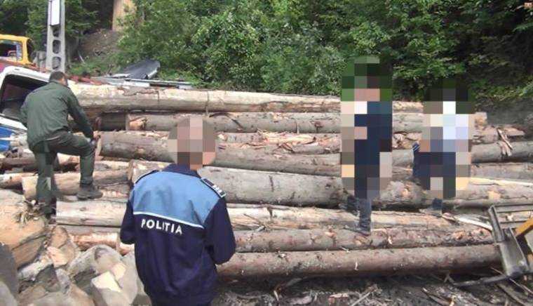 Arges Prinsi cu o cantitate mare de lemne fara documente in depozit Amenda drastica