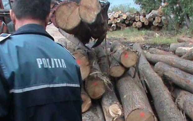 Costesti Politistii sanctioneaza transportul ilegal de lemne