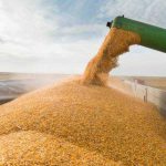 Europa se confrunta cu riscul unui nou val de scumpiri la alimente insa Romania beneficiaza de un avantaj neasteptat in contextul secetei