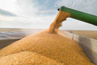 Europa se confrunta cu riscul unui nou val de scumpiri la alimente insa Romania beneficiaza de un avantaj neasteptat in contextul secetei