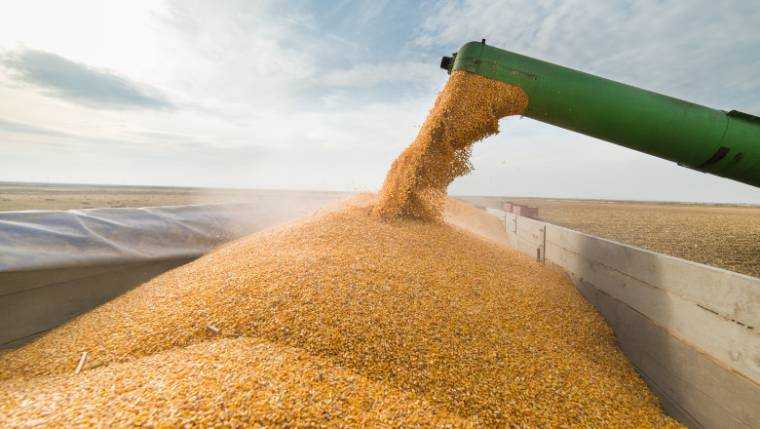 Europa se confrunta cu riscul unui nou val de scumpiri la alimente insa Romania beneficiaza de un avantaj neasteptat in contextul secetei