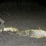 Explozia dronei in Republica Moldova crater de 2 metri si motor turbo reactiv descoperit la locul accidentului