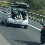 Filmari riscante pe A1 in Sibiu un tanar filma din portbagaj in timp ce un motociclist lua parte la spectacol toti tri au fost sanctionati