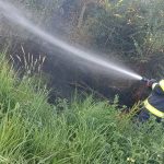 ISU Arges Pe caldura asta nu aprinde pericolul Arderea vegetatiei uscate este interzisa
