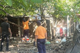 Interventie la Pitesti pentru curatirea unei locatii de pe strada Dumbravei