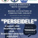 Invitatie la Noaptea Perseidelor