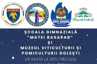 Invitatie la Noaptea Perseidelor