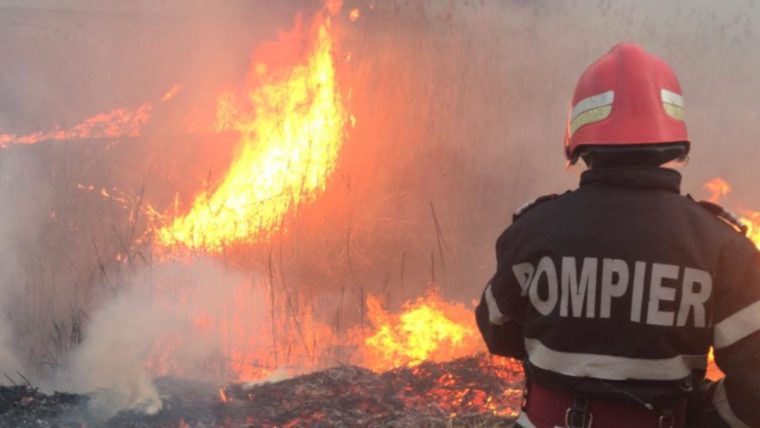 O lumanare aprinsa la un mormant a declansat un incendiu devastator in Botosani 50 de hectare de pamant consumate de flacari