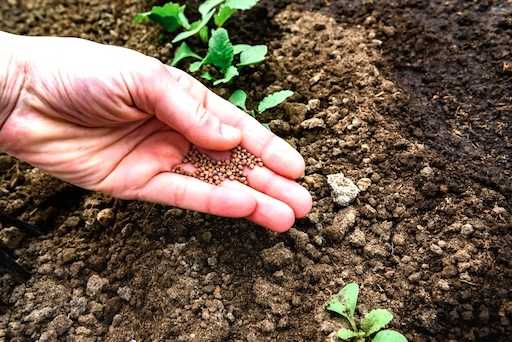 Preturile seminte lor si pesticidelor supravegheate de Consiliul Concurentei 21 de companii sanctionate cu peste 83 de milioane de lei