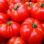 Sarbatorea Tomatelor la Stefanesti Arges Cercetatorii prezinta soiuri adaptate la seceta si la schimbarile climatice