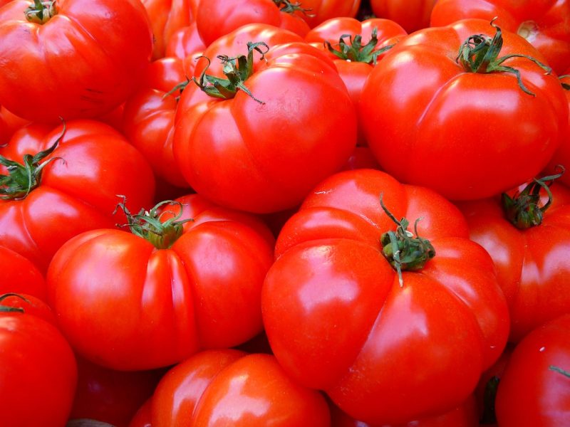 Sarbatorea Tomatelor la Stefanesti Arges Cercetatorii prezinta soiuri adaptate la seceta si la schimbarile climatice
