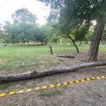 Tanara de 19 ani zdrobitade copaci in Cismigiu se afla in stare critica Familia solicita justitie