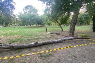 Tanara de 19 ani zdrobitade copaci in Cismigiu se afla in stare critica Familia solicita justitie
