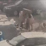 VIDEO Au lasat mobila veche langa platforma de gunoi si au primit amenzi