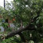 Vremea se agita ANM a emis Cod portocaliu de vijelii si ploi torentiale in zona montana a Argesului